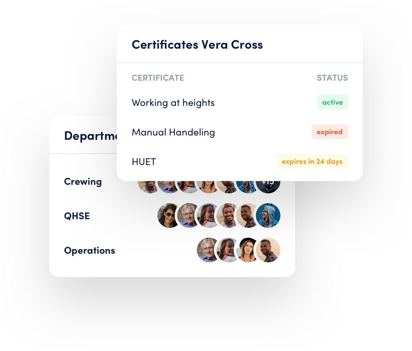 Certificate overview in the professional dashboard